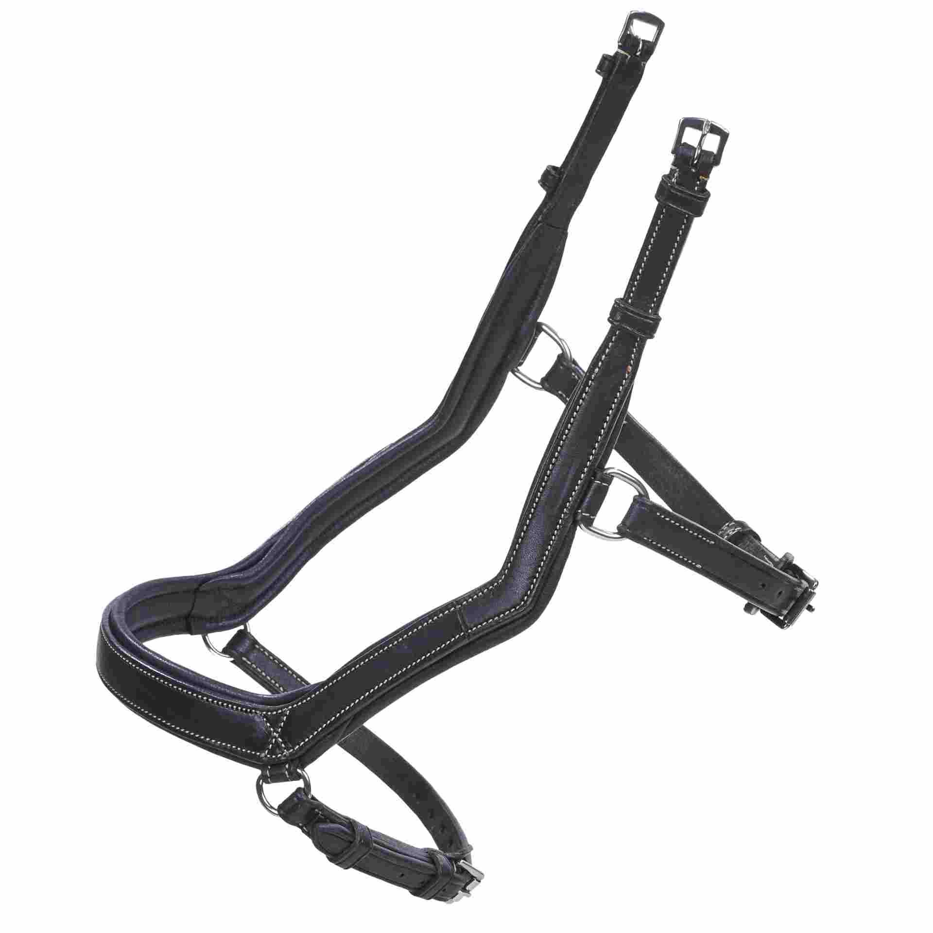 BUSSE Reithalfter TAKE-OFF LINE AN COB schwarz