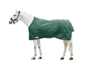 Fir vert