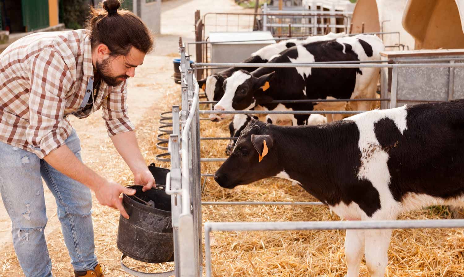 Alimentazione