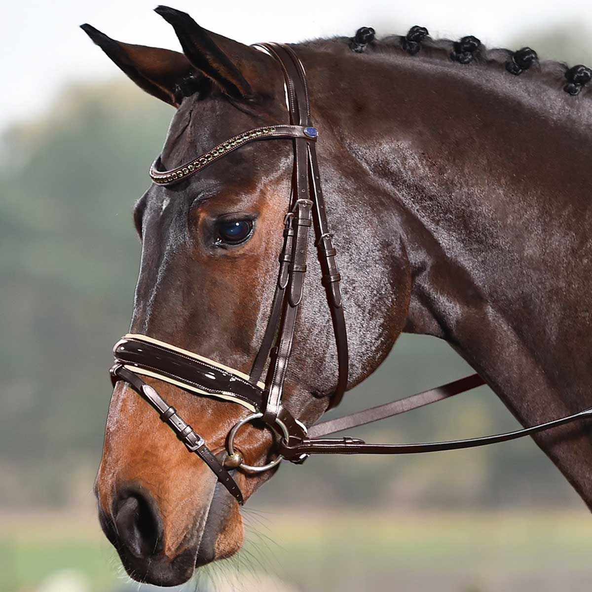 BUSSE Testiera LUXURY