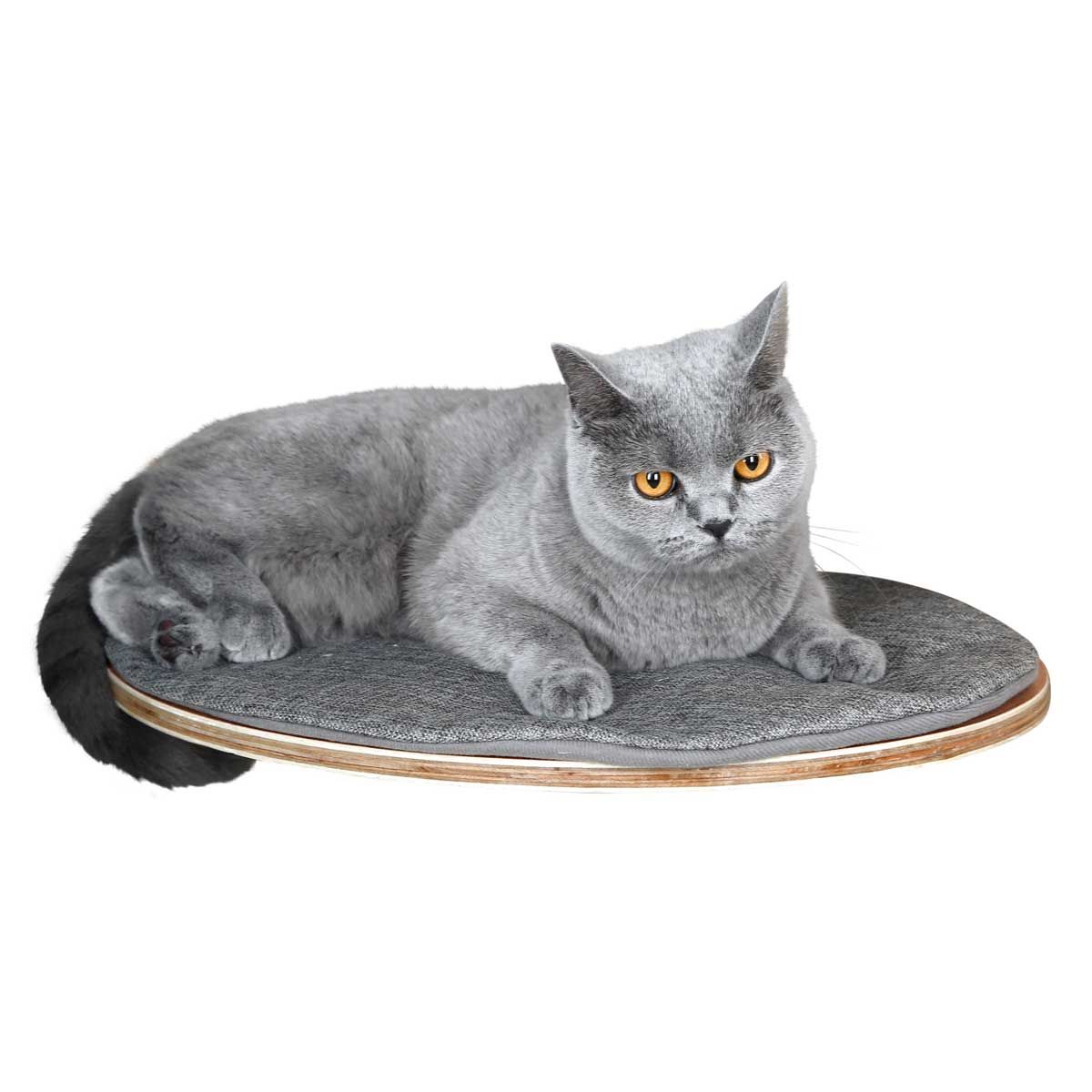 Kerbl Gatto Parete Sdraiata Tofana