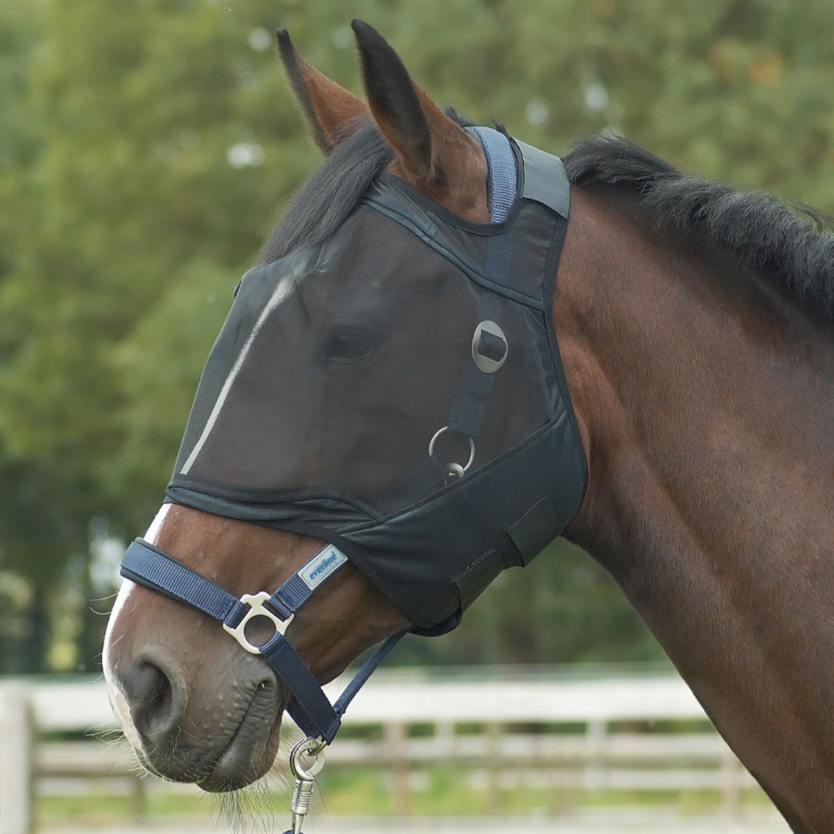 BUSSE Masque anti-mouches poney garde-mouches