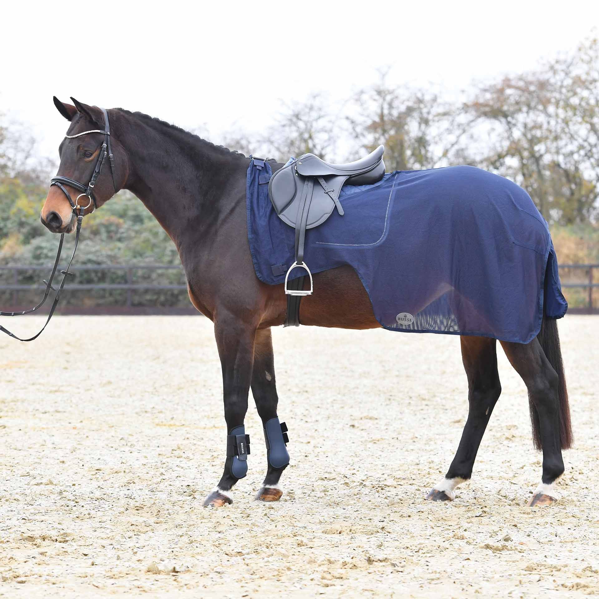 BUSSE Coperta antimosche per cavallo FLEXI FLY II 125 navy