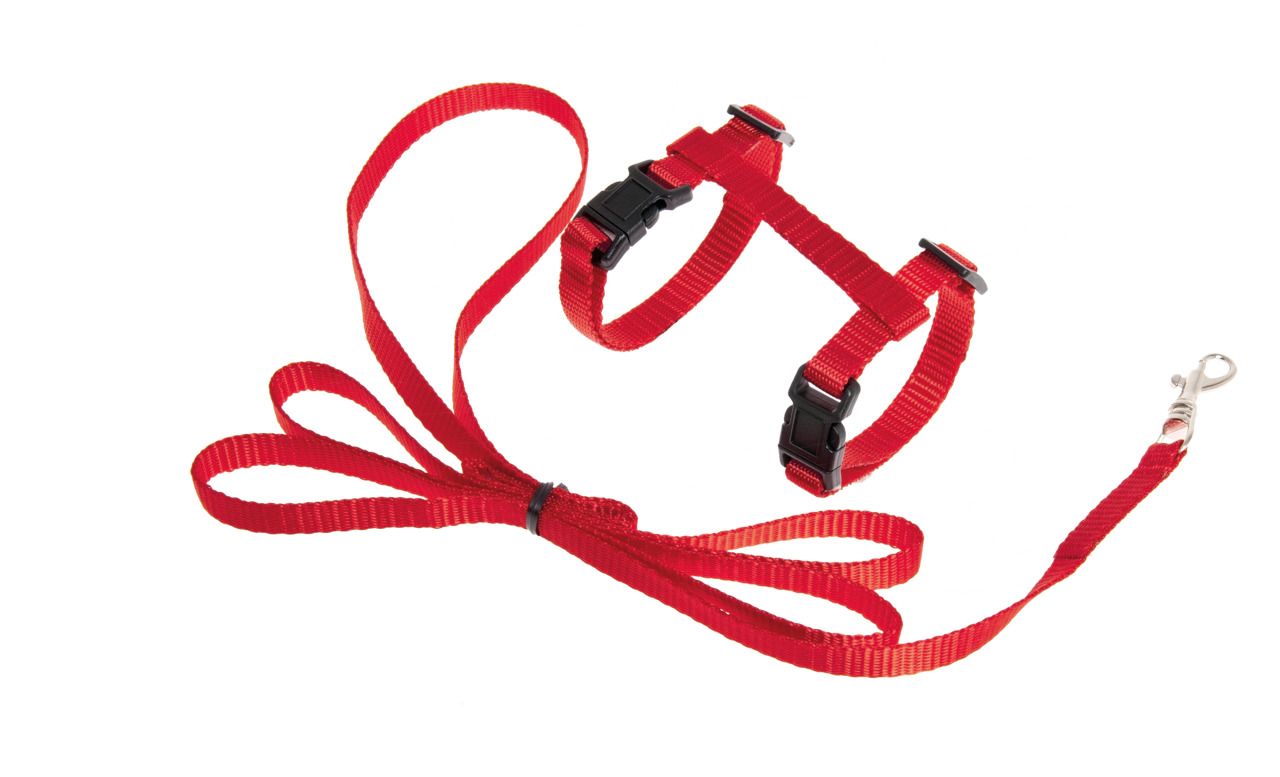 Karlie Set di gattini Art Sportive Pettorina e guinzaglio rosso