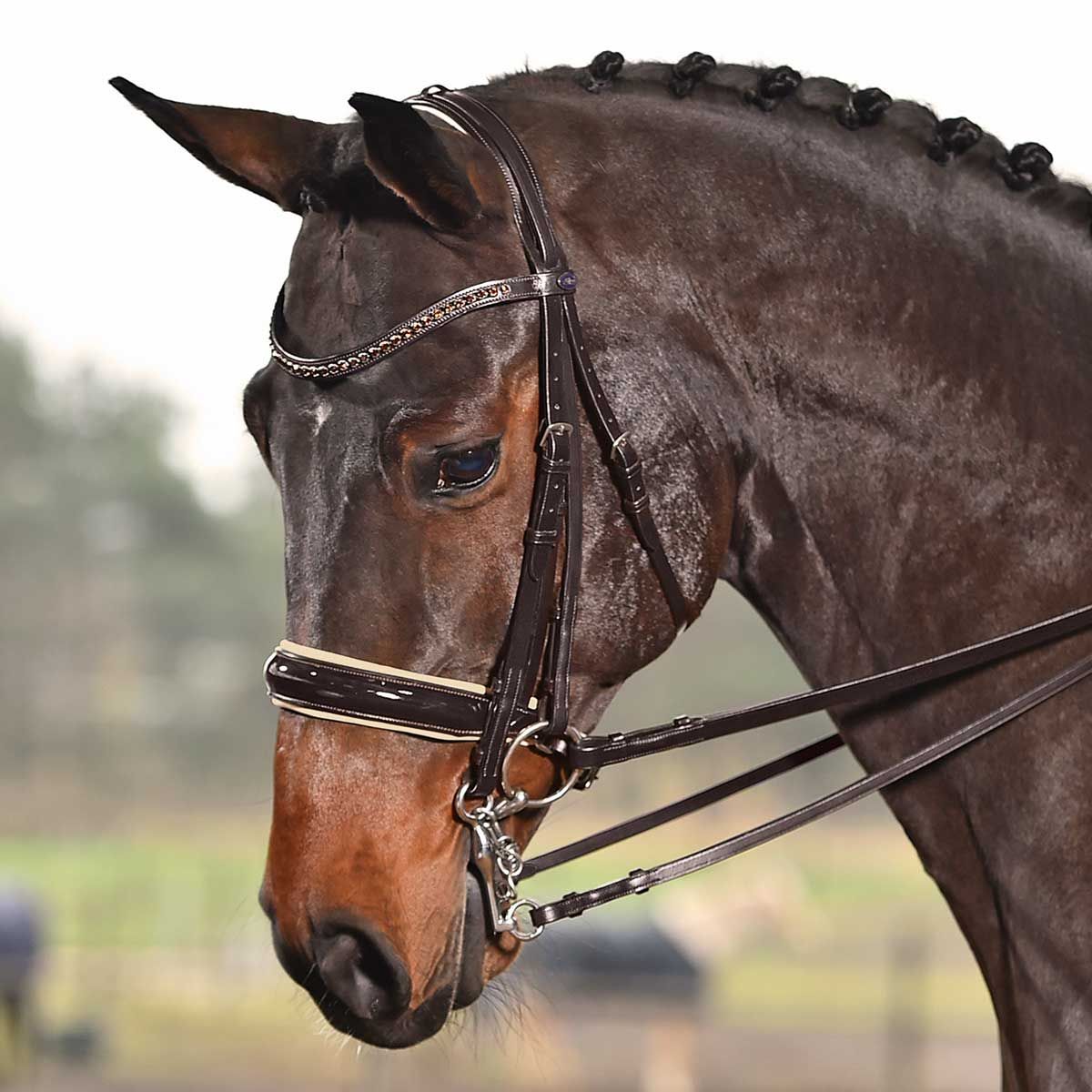 BUSSE Briglia da dressage Luxury