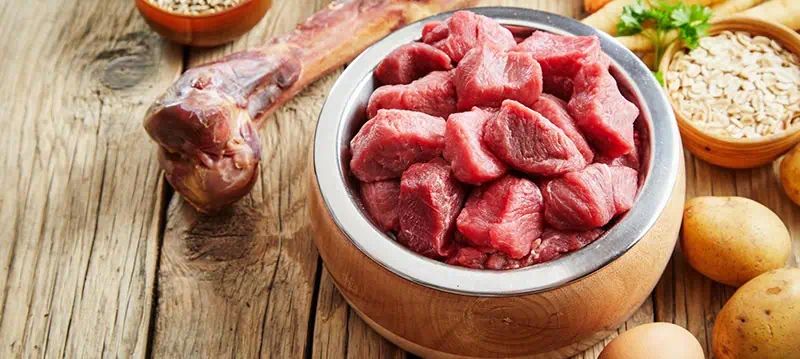 Mangimi per cani ad alto contenuto di carne