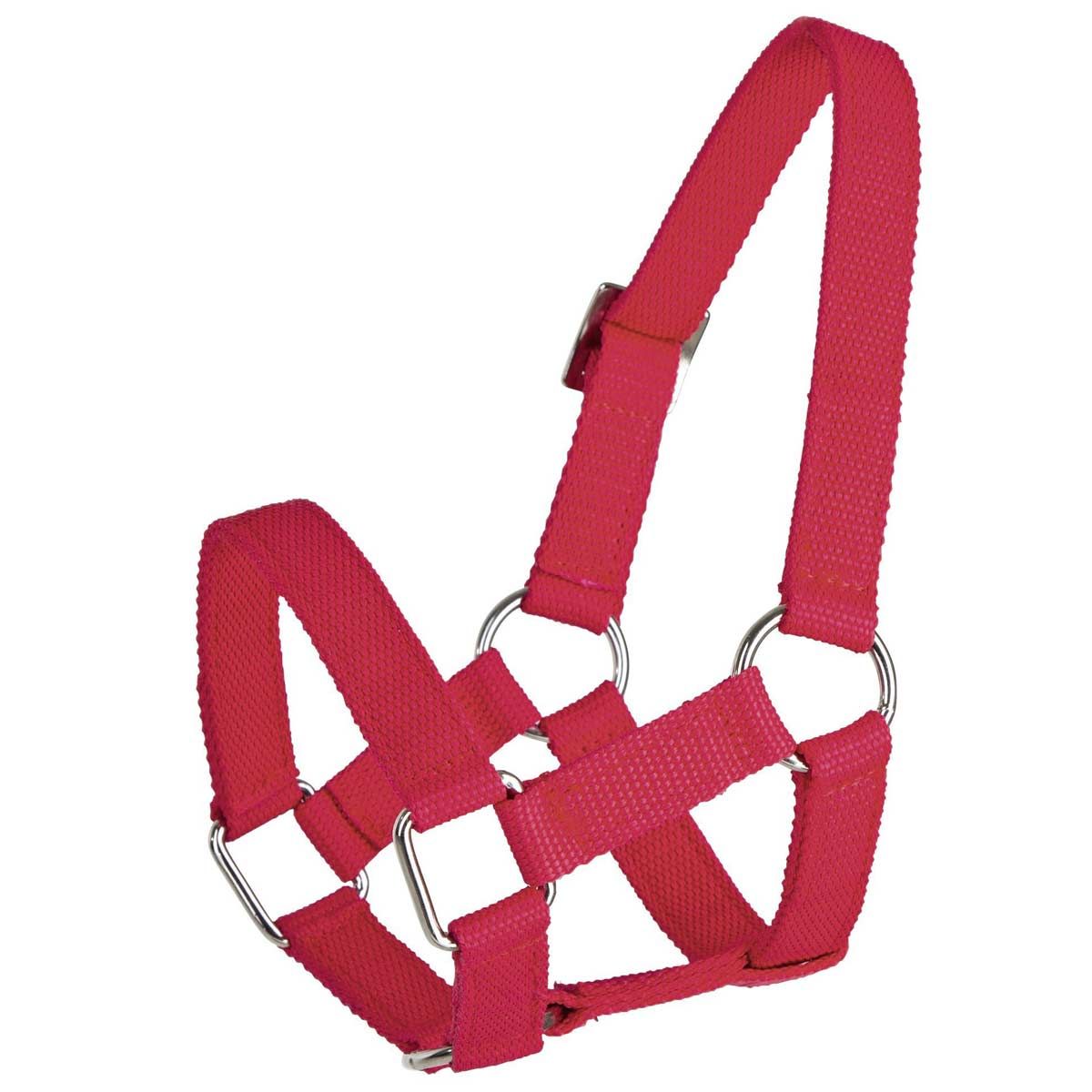 Collier de tête pour moutons et chèvres rouge