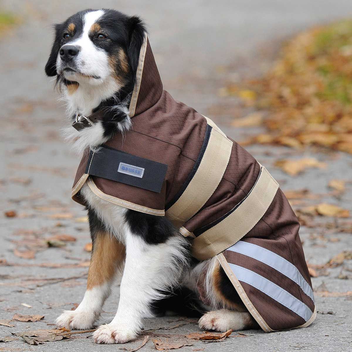 BUSSE Imperméable pour chiens move java 25 cm