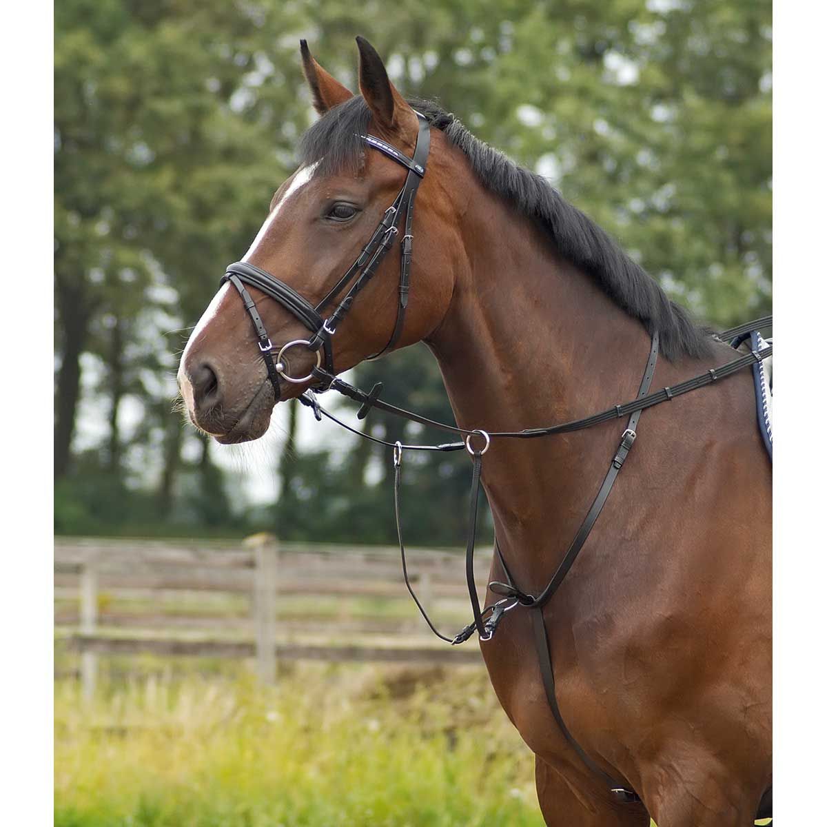 BUSSE Martingala BASIC-PRO