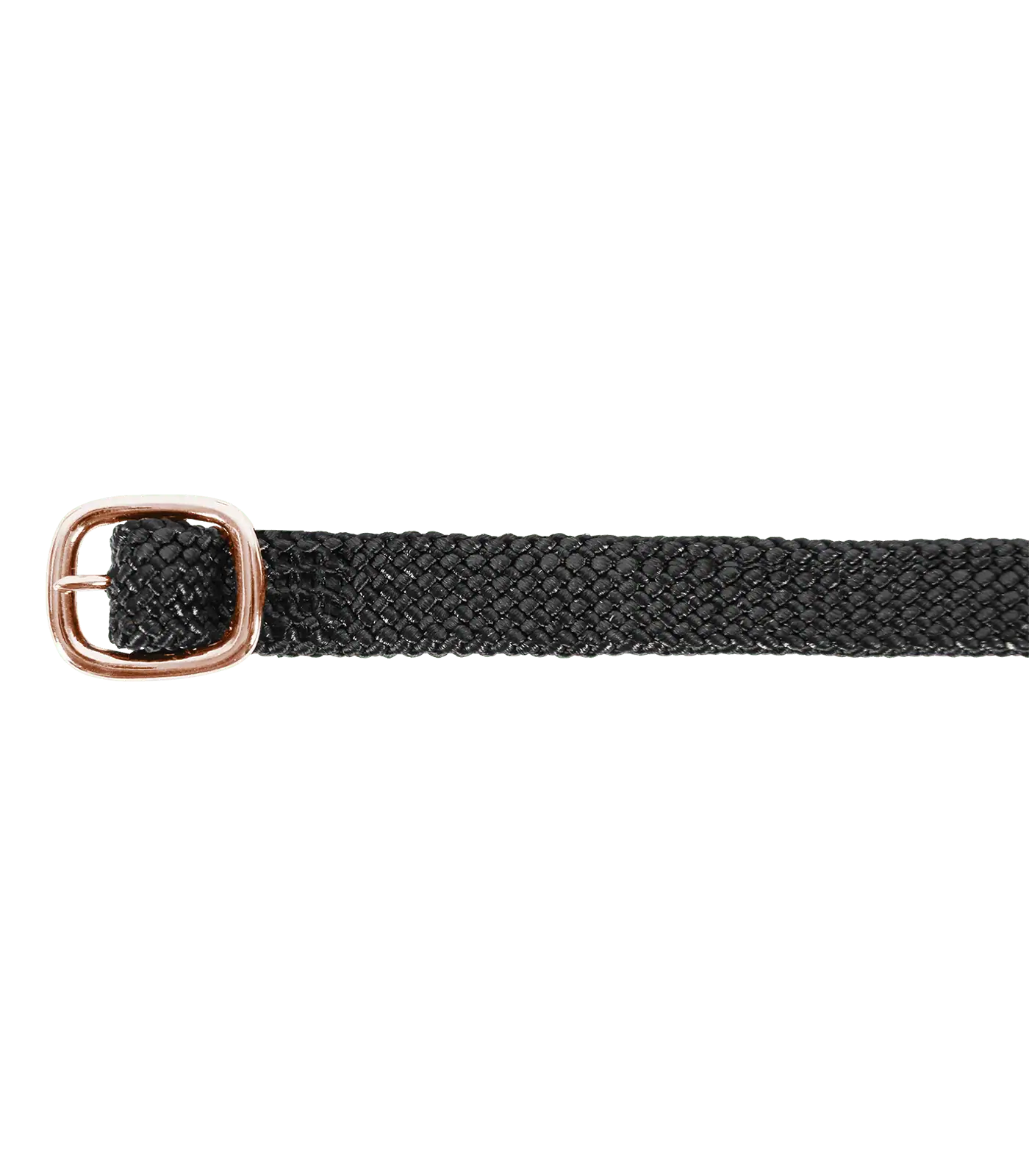 Laccioli Premium