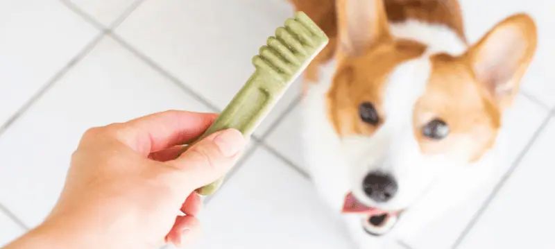 Snack per cani per l'igiene dentale