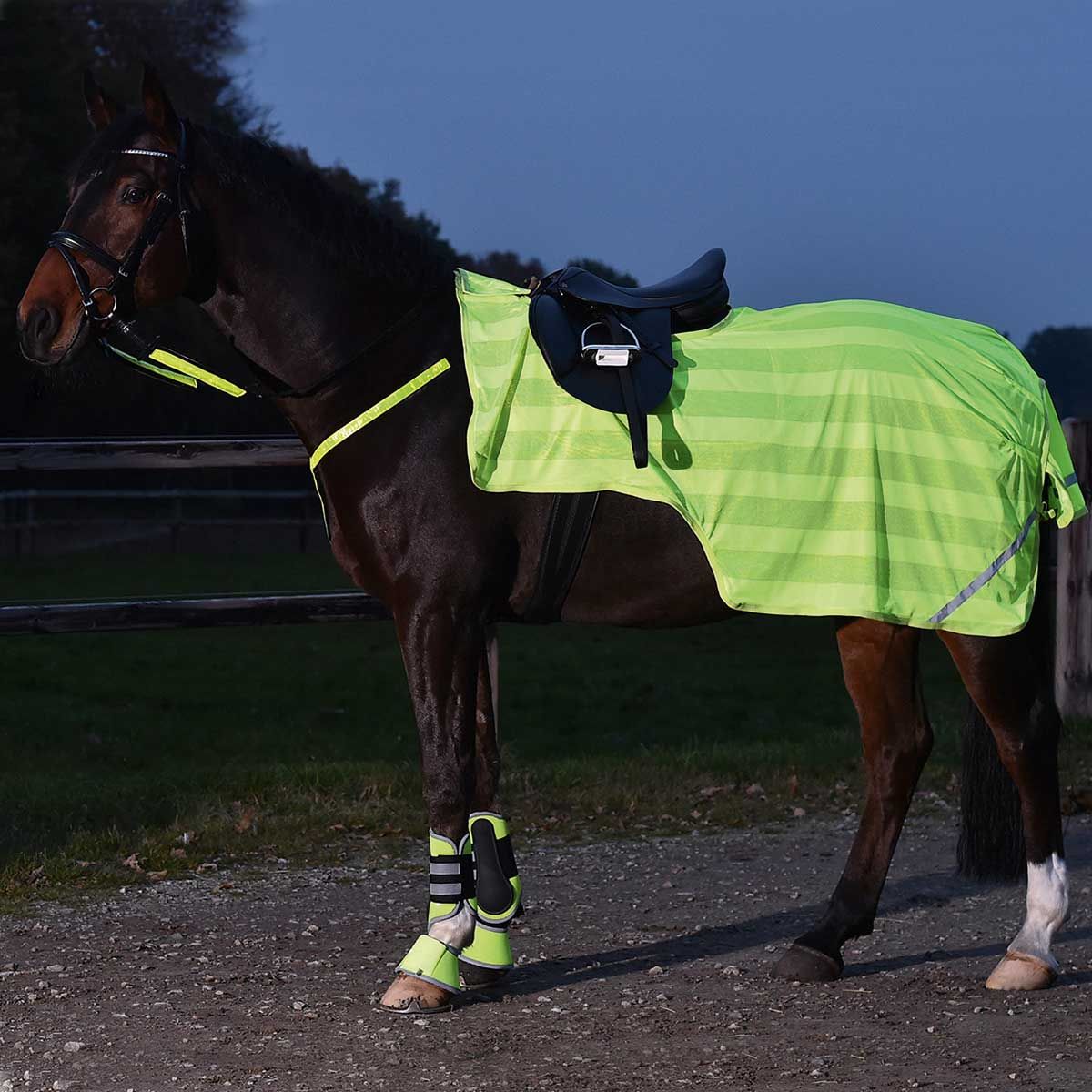 Couverture cheval fluorescente BUSSE REFLECTION 155