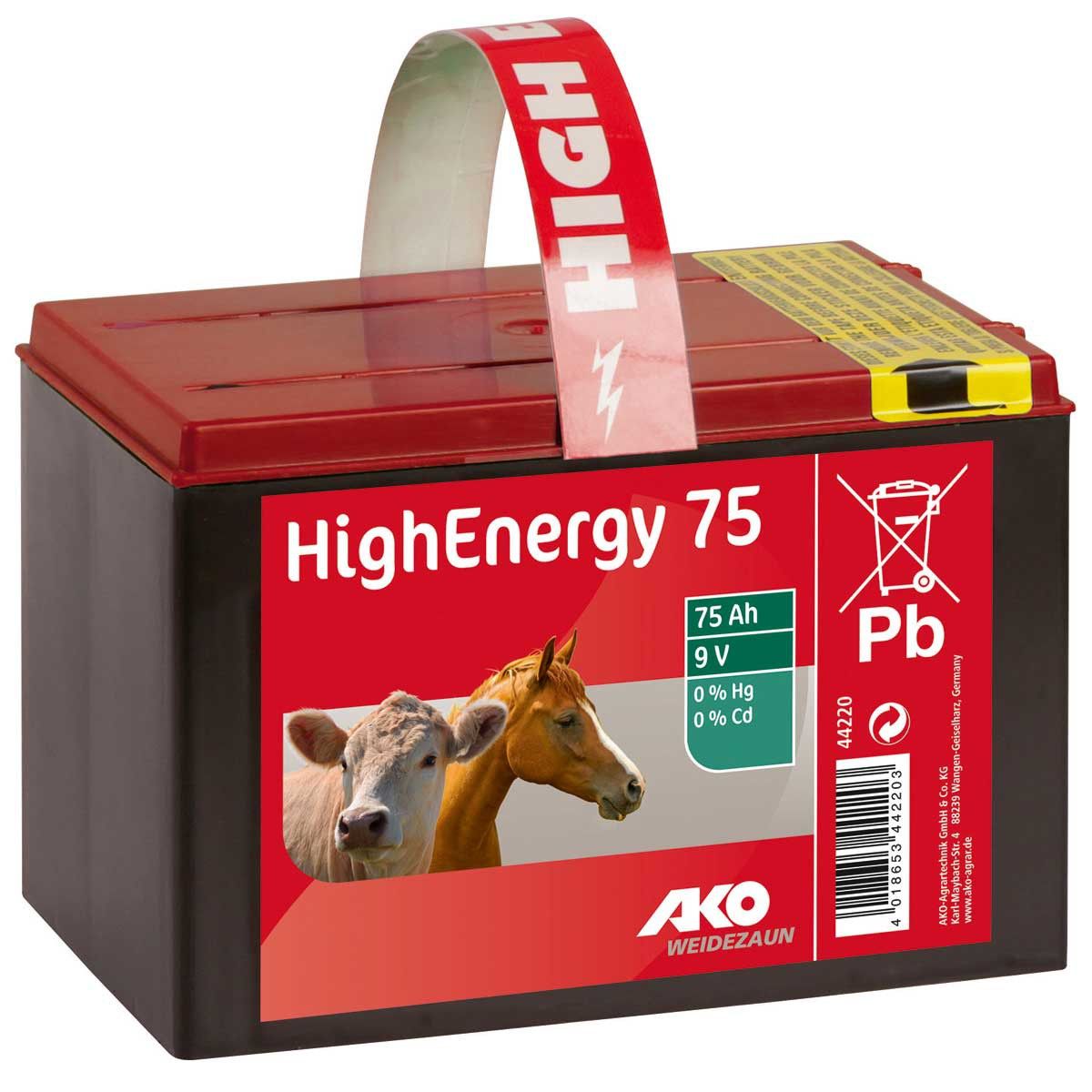 Batteria a secco per recinti elettrici High Energy Saline da 9 Volt 75 Ah
