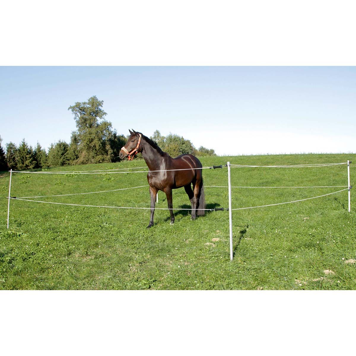 AKO Verseny/Paddock szett 7x7 m készülék nélkül