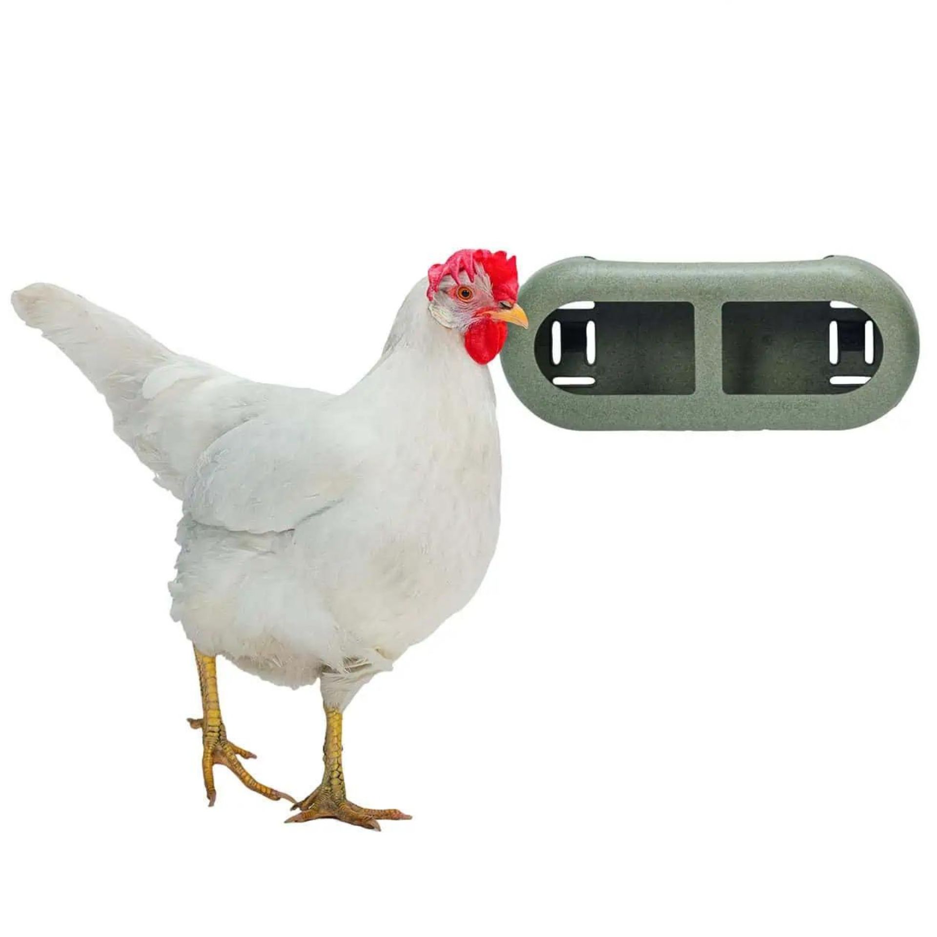 Beeztees Hühner Feeder