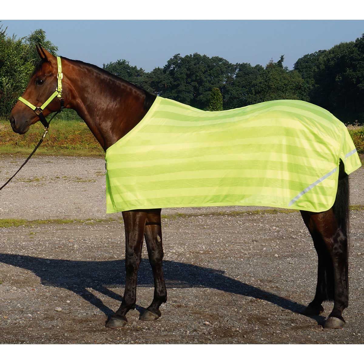 BUSSE Coperta leggera riflettente REFLECTION 165 cm