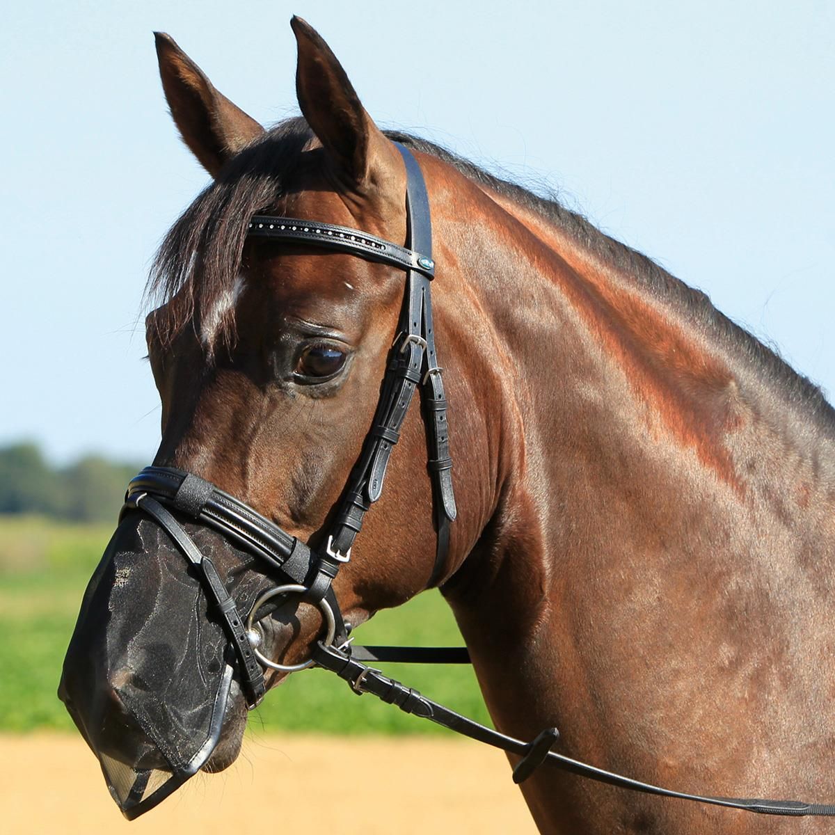 BUSSE Maschera protezione narici FLY PROTECTOR