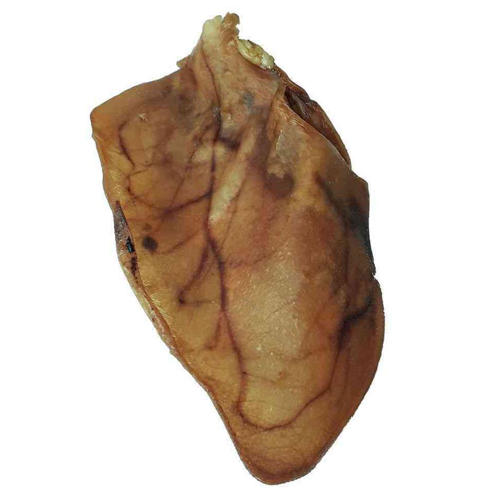 Urechi de porc XXL pentru câini
