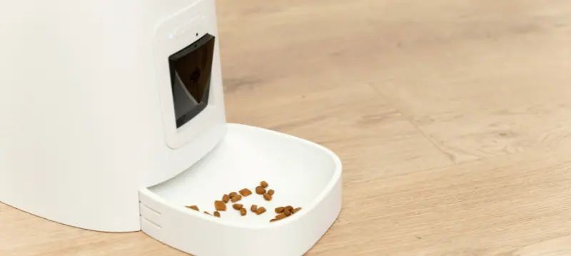 Mangeoire automatique pour chien