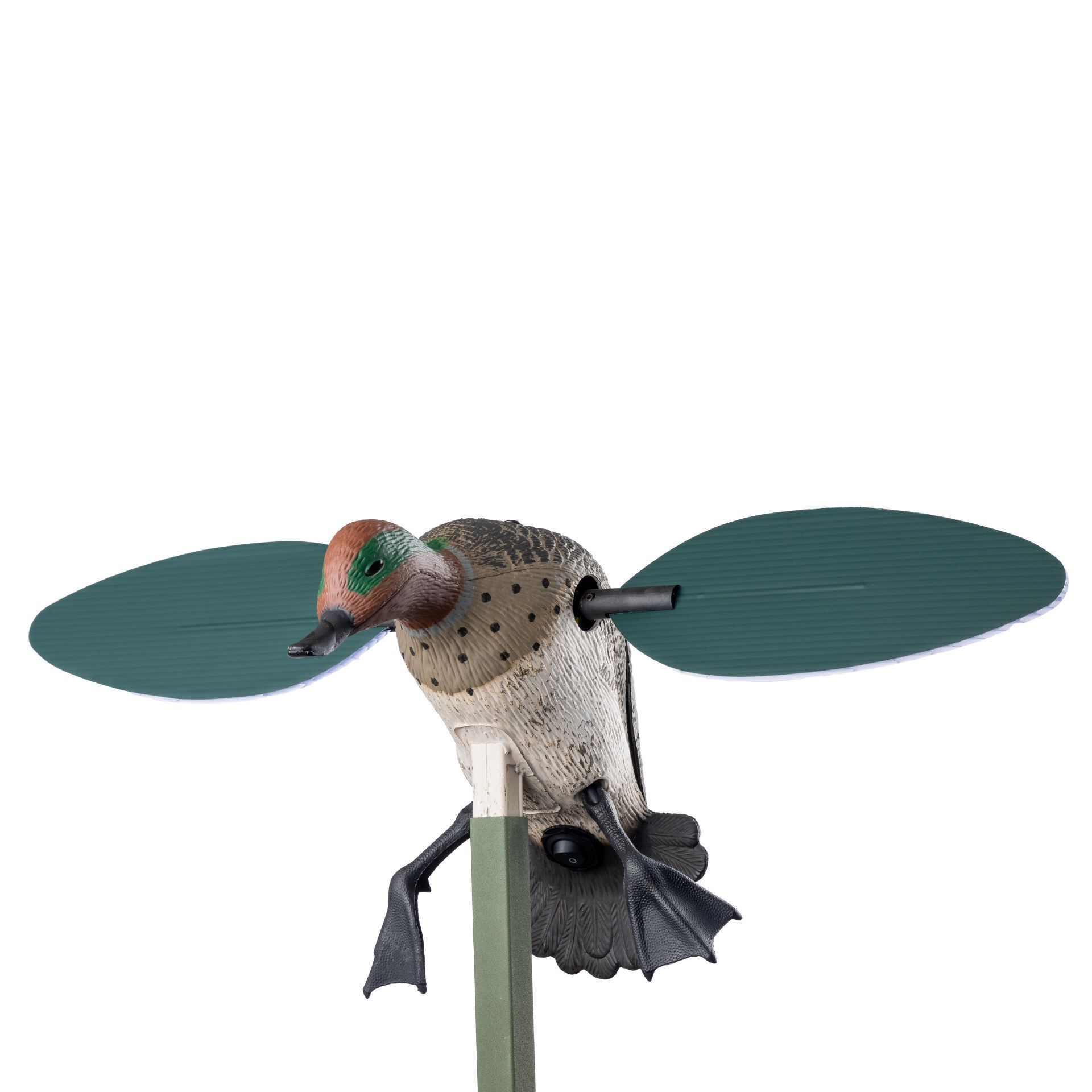 Mojo leurre Teal (sarcelle d'hiver)