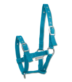 bleu azur