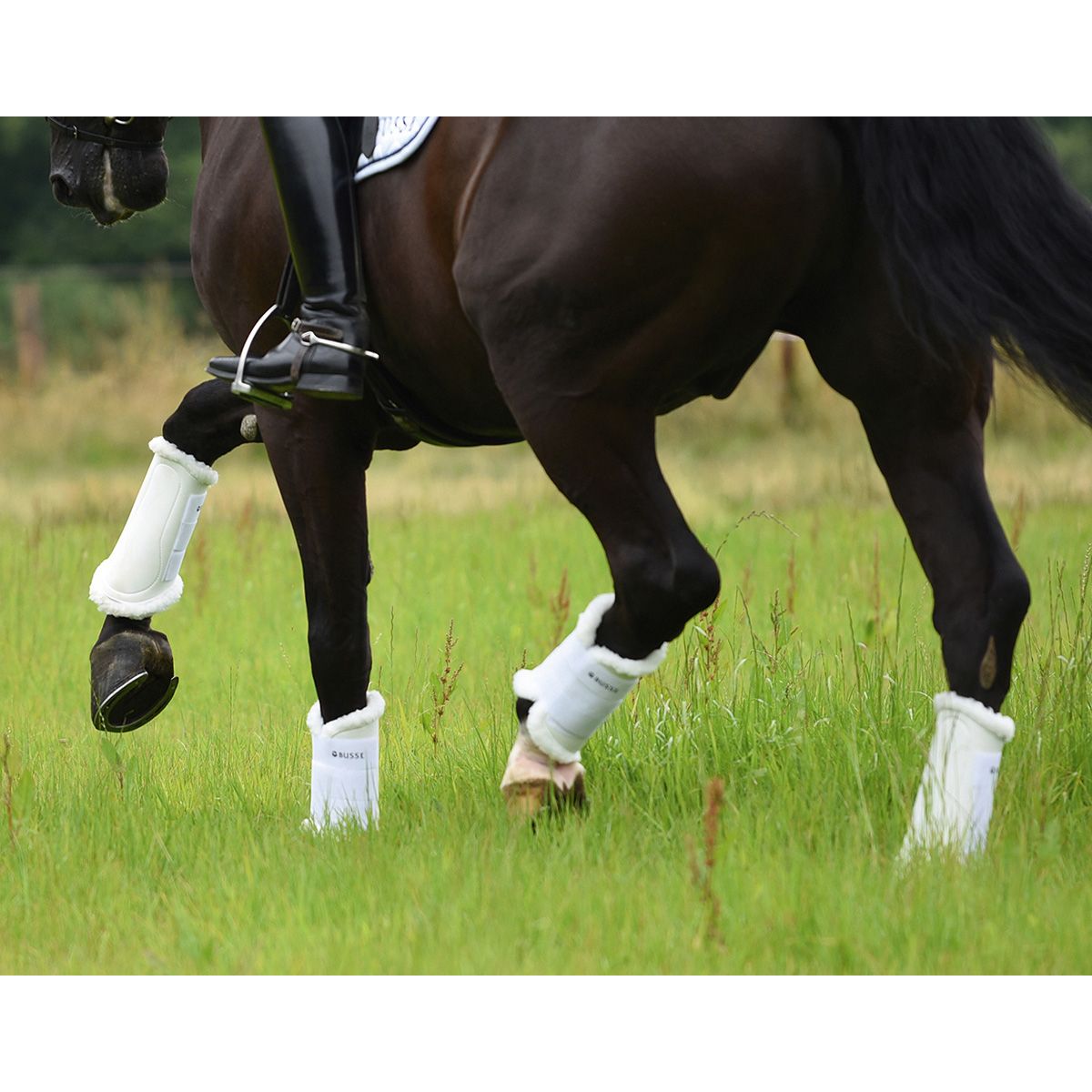 BUSSE Paratendini da dressage ART-FUR