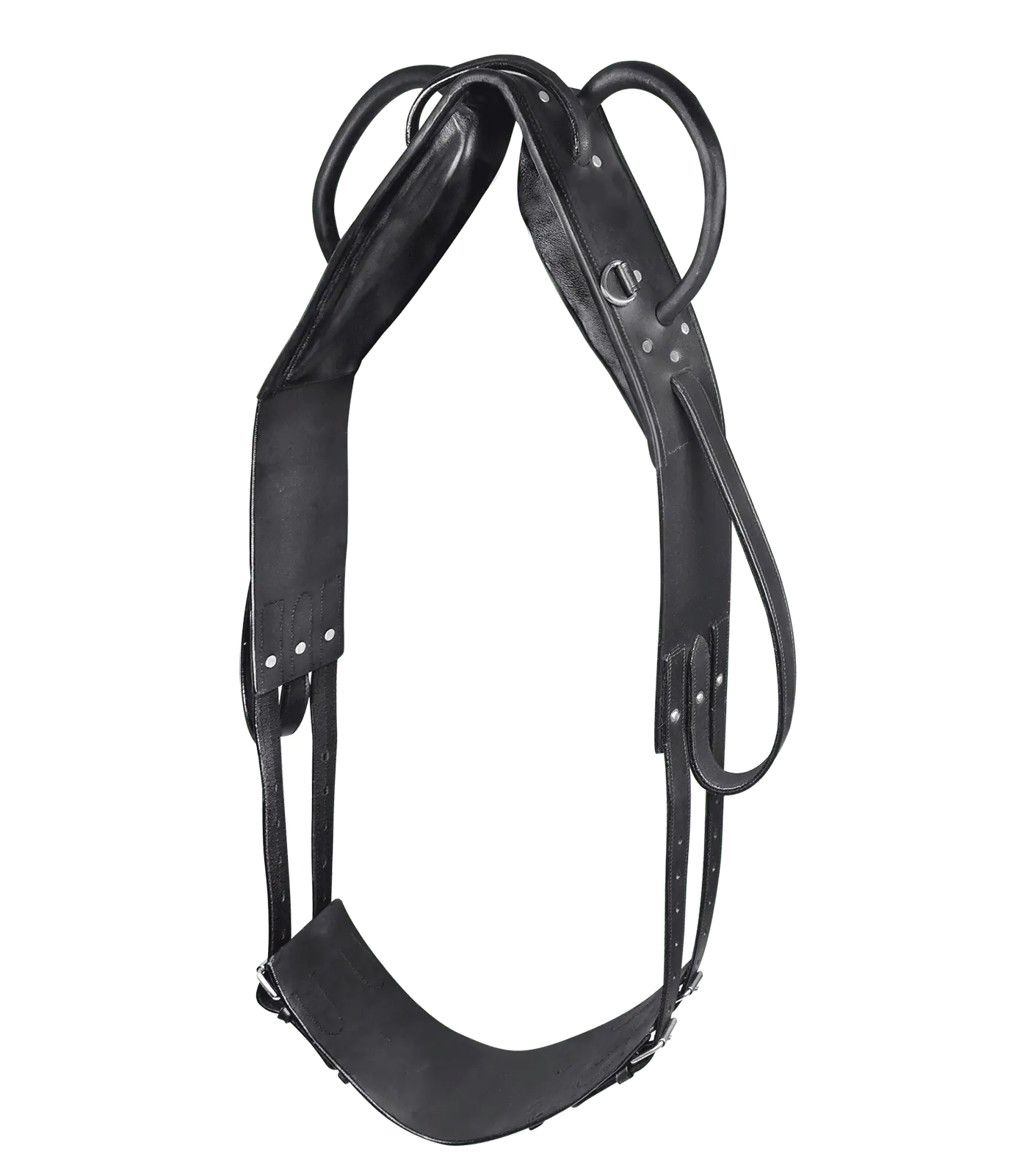 STAR Voltigiergurt, schwarz, Pony