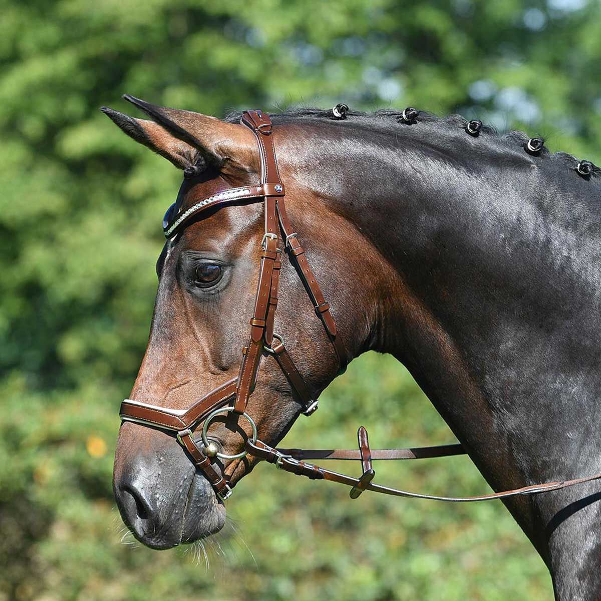 BUSSE Briglie MODENA nocciola/kristall FULL