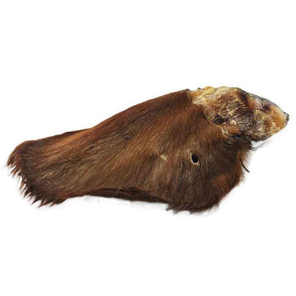 Hundgodis torkade nötöron med päls 5st.