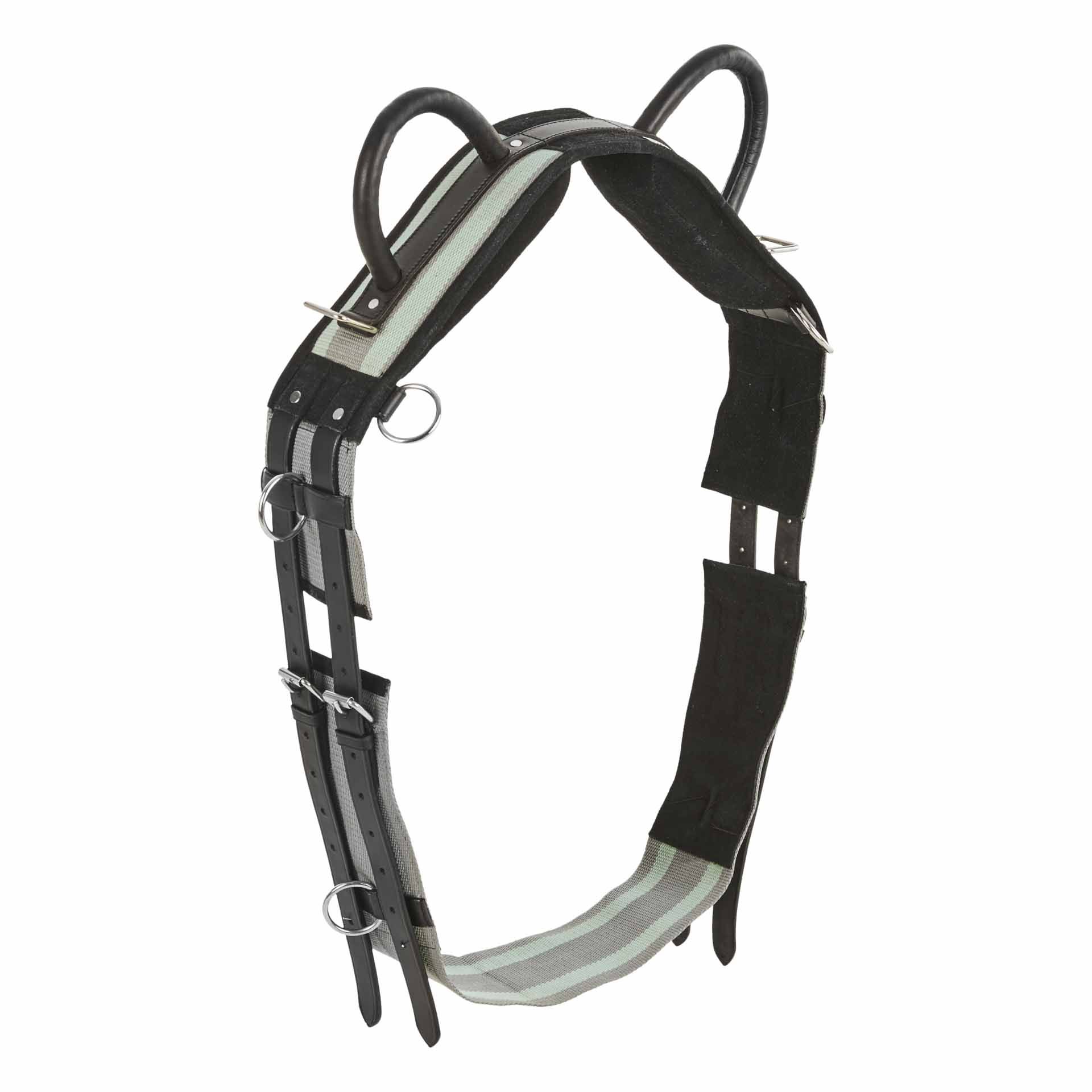 BUSSE Fascione di addestramento DOUBLE Pony grigio/smoke green