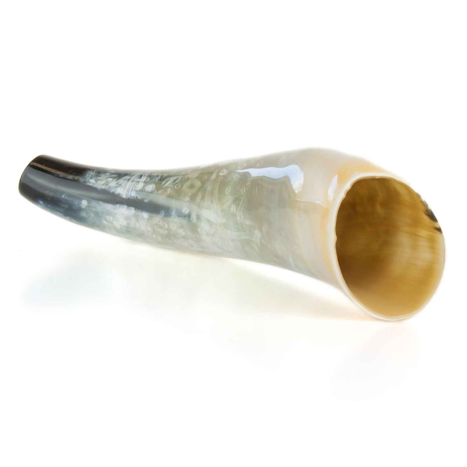 Appeau en corne de bœuf 40 cm