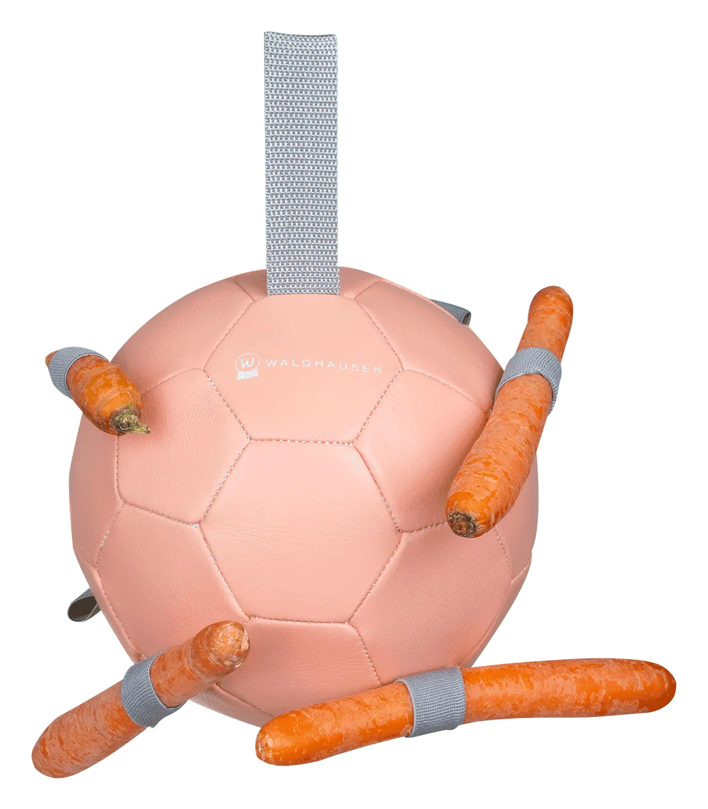 Balle à carottes