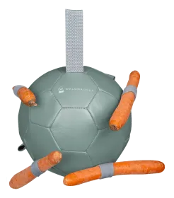 gui