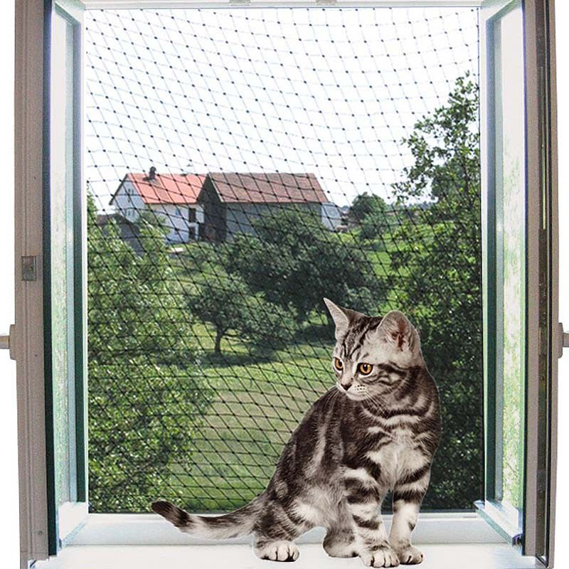 Rete per gatti trasparente 2 x 3 m