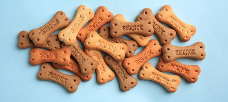 Snack per cani