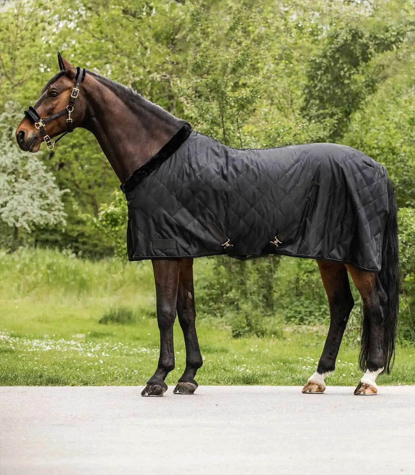 Waldhausen Transportdecke Exclusive, schwarz, 125 cm