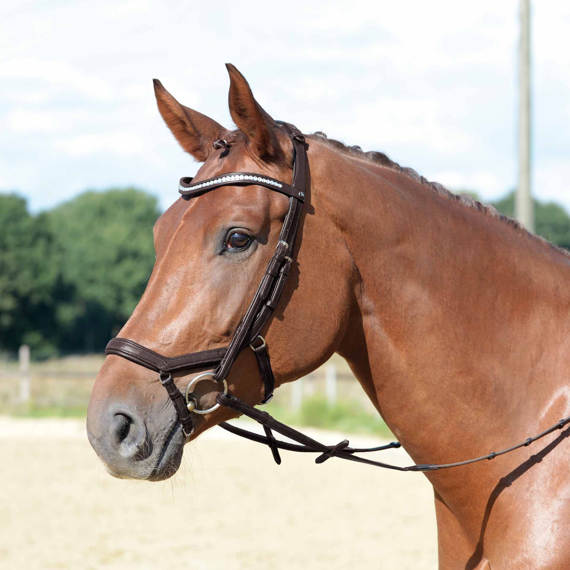 BUSSE Trense EMOTION Pony braun