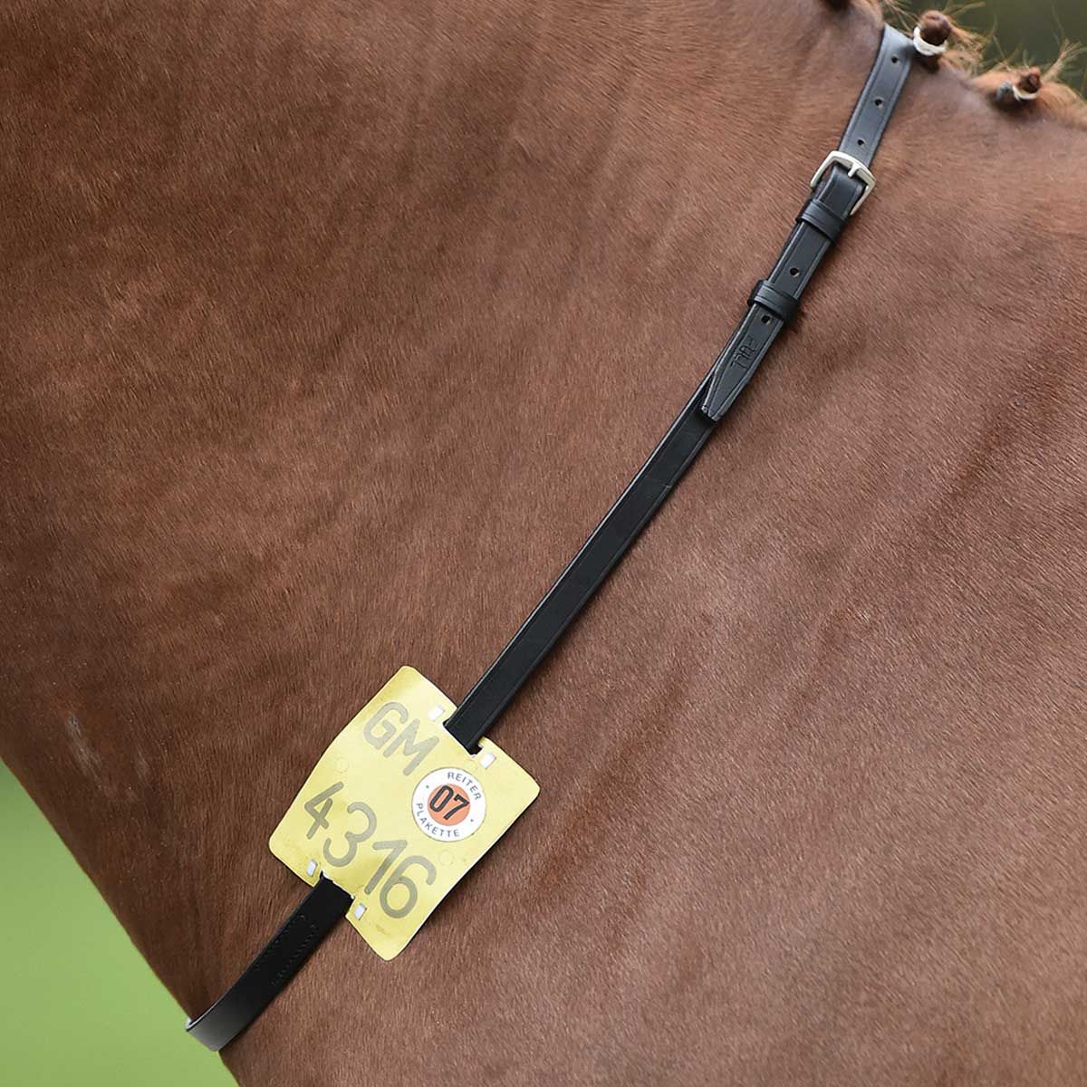 BUSSE Collare in cuoio regolabile REITKENNZEICHEN per targhette di identificazione