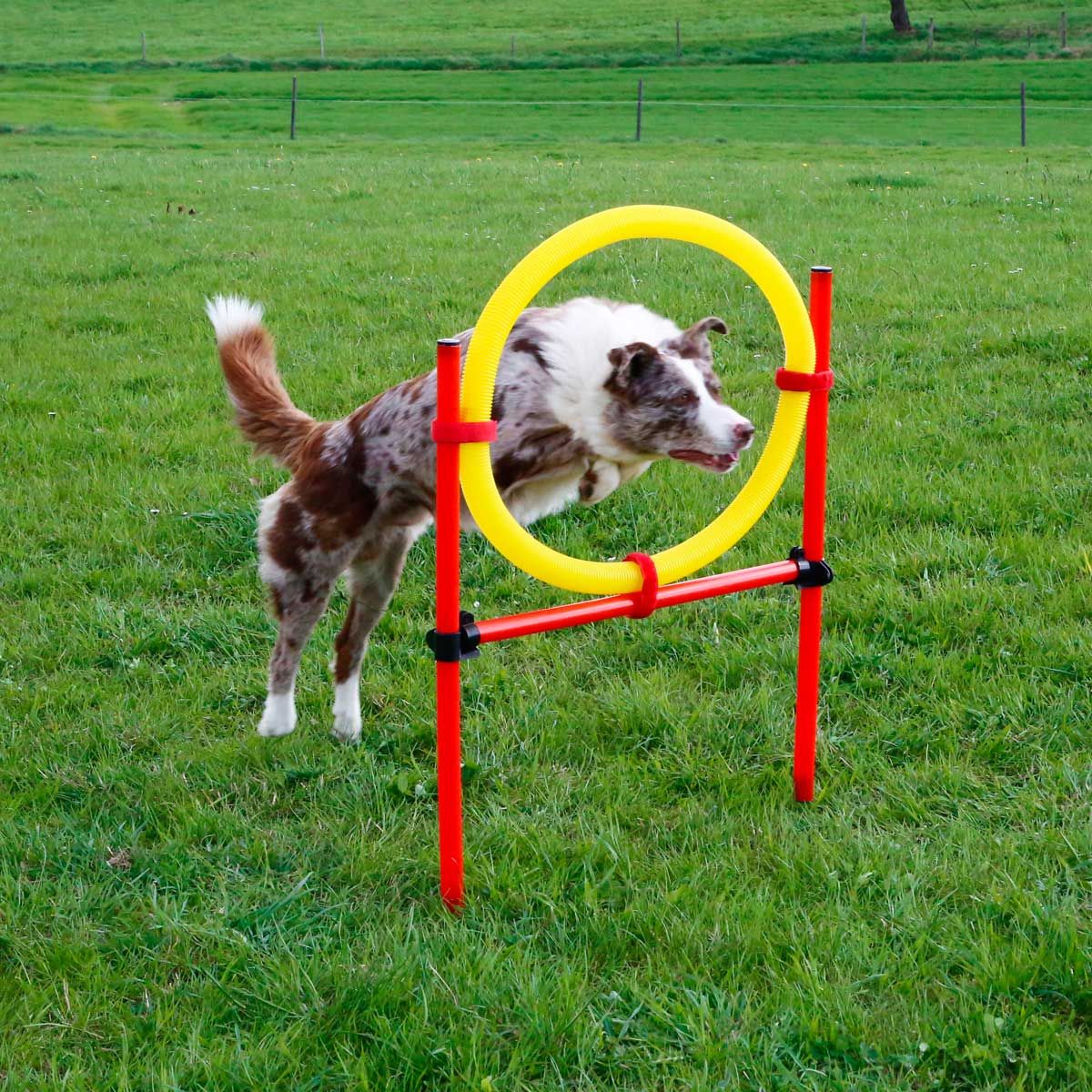 Set completo Agility 3 pezzi