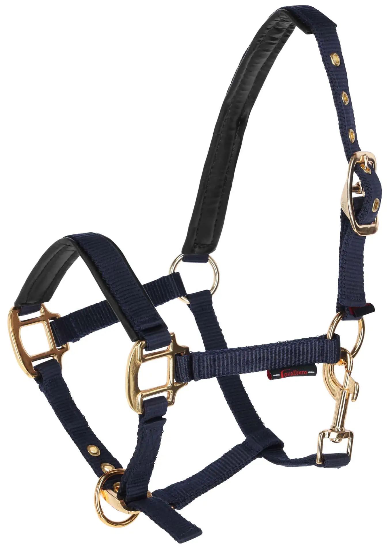 Fohlenhalfter TopLine, navy