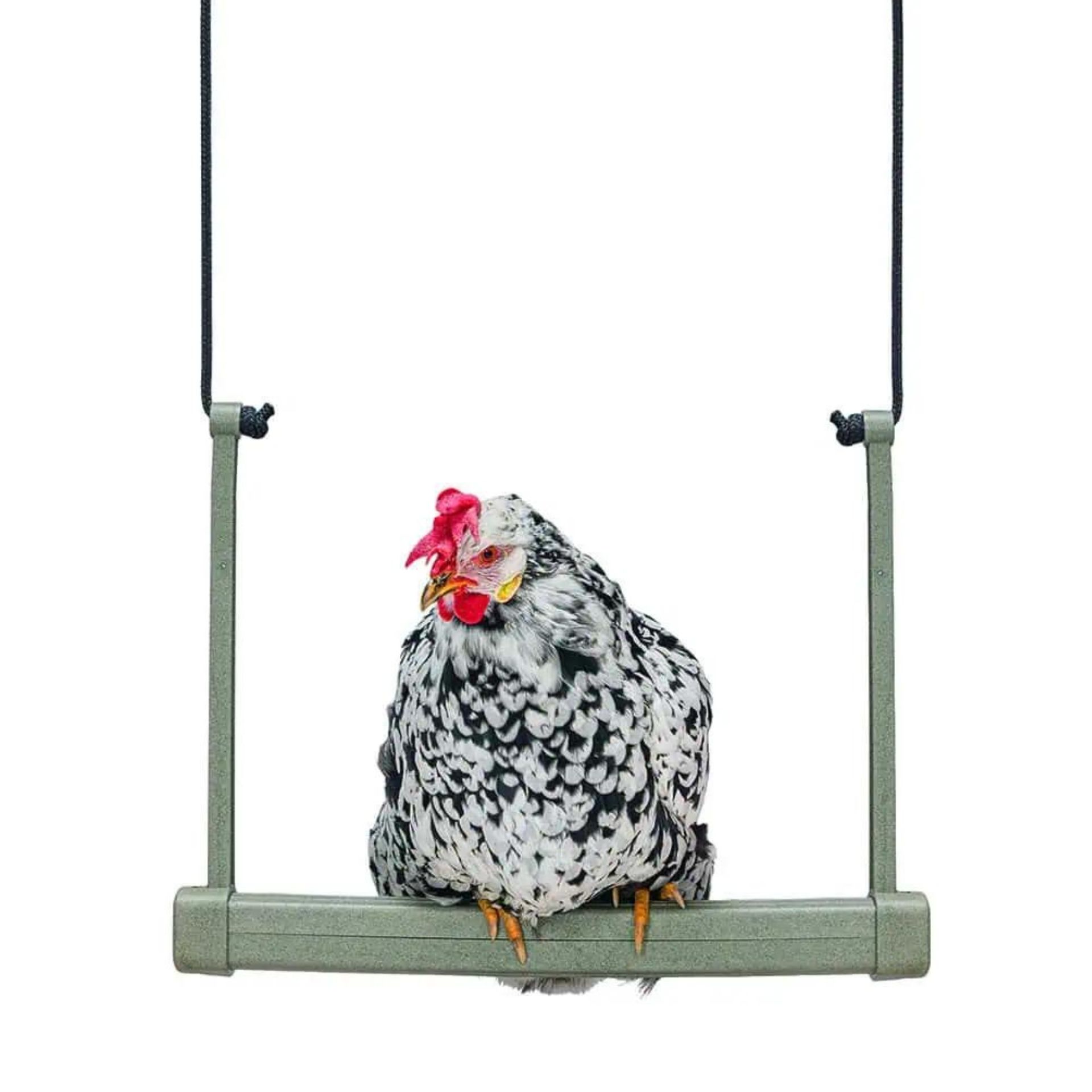 Balançoire poulet Beeztees