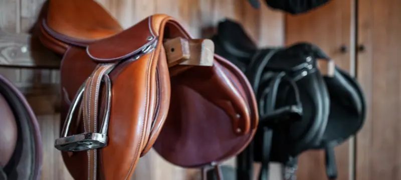 Selle da cavallo e accessori