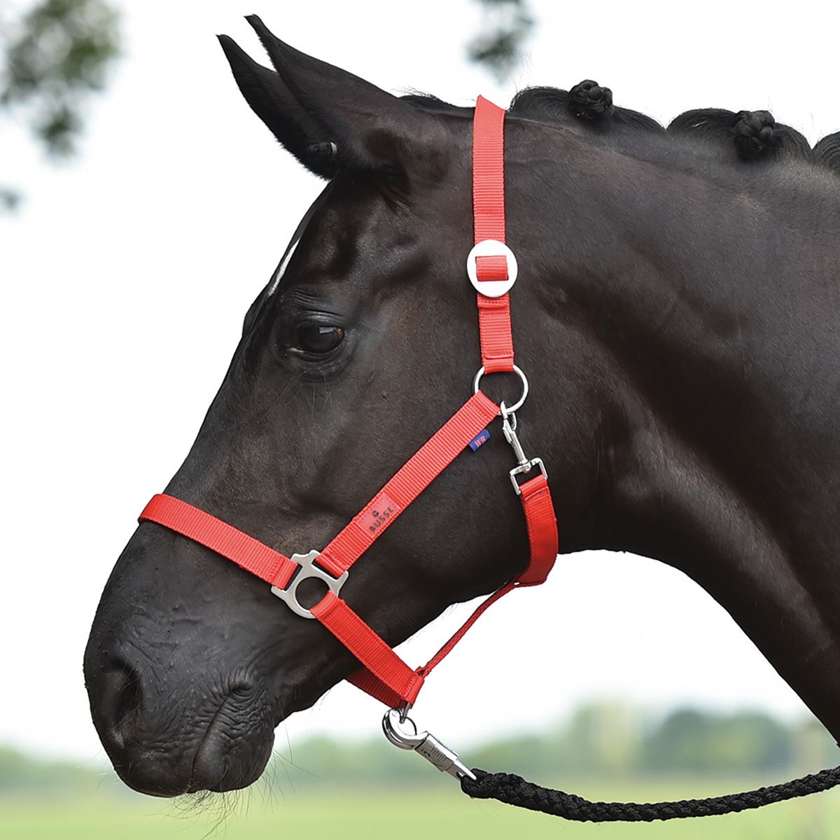 BUSSE Étui hansa rouge COB