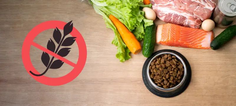 Mangimi per cani senza cereali