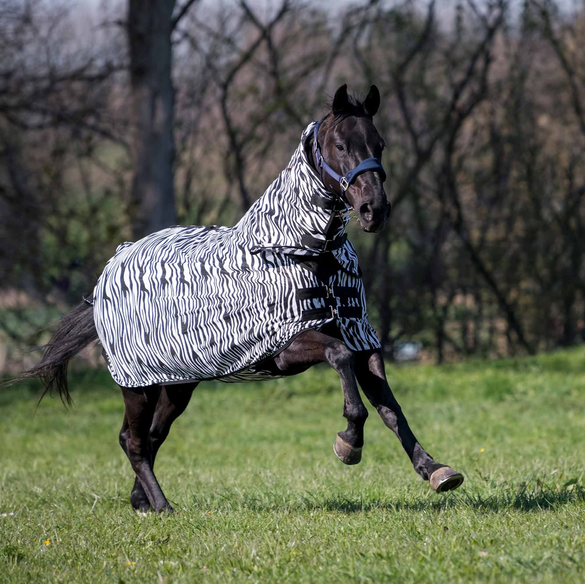 BUSSE Coperta antimosche da paddock COMFORT PRO ZEBRA 115 zebra