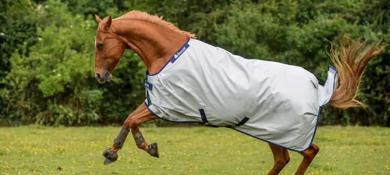 Coperte per cavalli da esterno