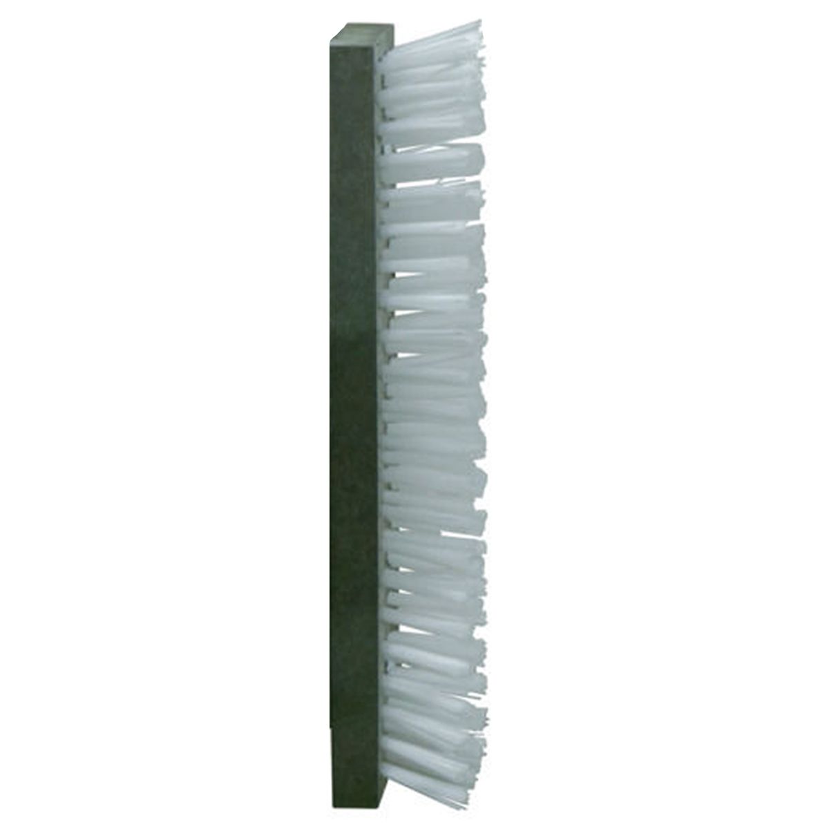 Brosse de rechange pour brosse d'étable Texas