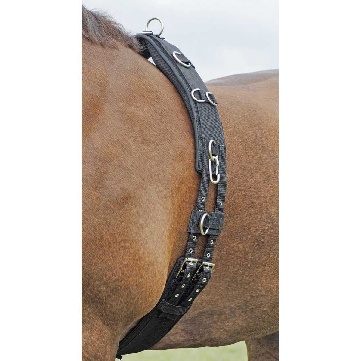 BUSSE Longiergurt PROFI-SOFT