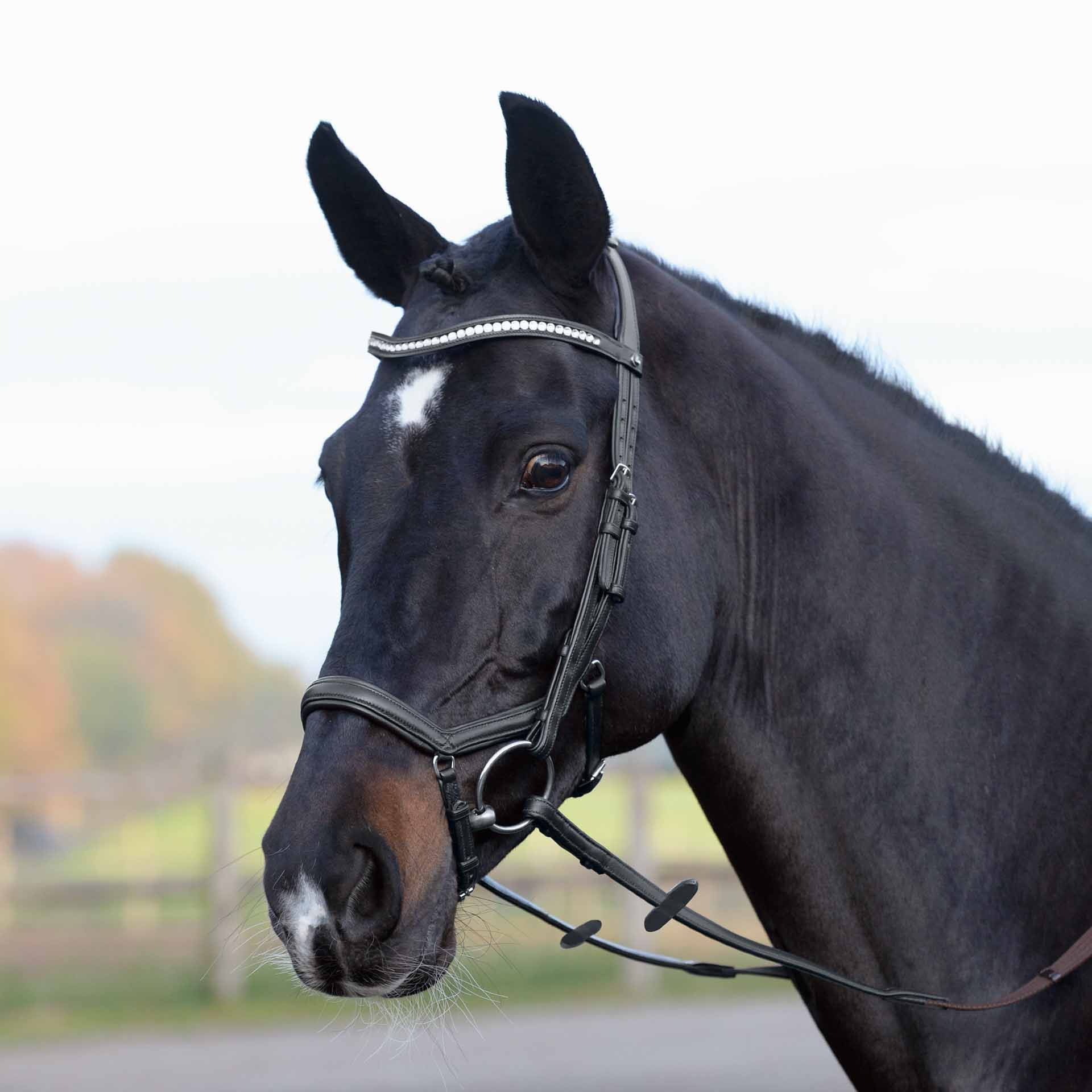 BUSSE Testiera EMOTION FULL nero