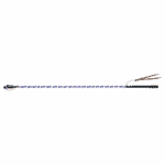 viola